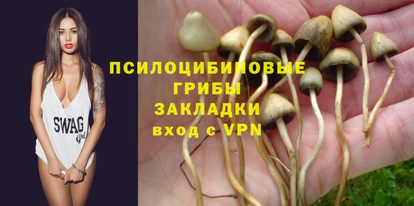 дживик Алзамай