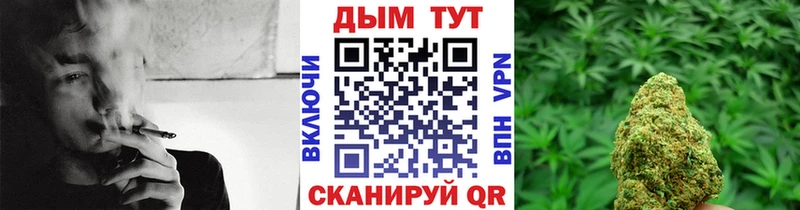Шишки марихуана план  где найти наркотики  Ноябрьск 
